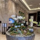 그랜드머큐어 앰배서더 서울용산 이미지