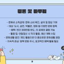 문화비 이미지