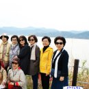 우포늪생태공원 이미지