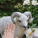 백양사약수터 이미지