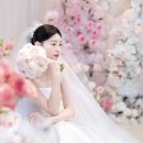 용산로얄파크컨벤션 밝은홀 파크홀 본식스냅 추천 서사포토그라피 내돈내산후기