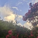 영화황토민박 이미지