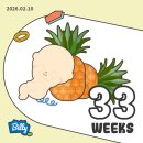 도봉로-14 | 임신후기 14탄 임신33주 기록 | 백일해 주사, 볼그레 액상 철분제, 라벤다 크림 처방