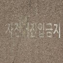 삼천대여소 이미지