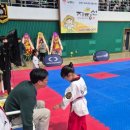 국가대표 백호 태권도장 이미지