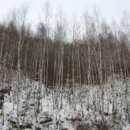 수산리-7 이미지