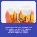 송도하버치과의원 이미지