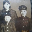 넝쿨다방 이미지