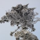 구름발치 이미지