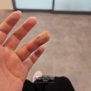 휘림빌딩 | 헌혈의집 작전센터 3번째헌혈 상세후기(등록,주차, 기념품)