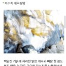 양떡음떡마을 Daum카페