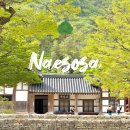 이디야광릉수목원점 | 전북 부안 가볼만한곳 내소사 맛집 주차 반려동물 동반 불가