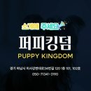 퍼피월드 이미지