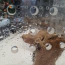 미소랑푸드 이미지