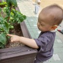 옥토어린이집 이미지