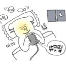 이도춘양 이미지