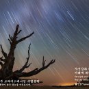 잠언(Proverbs) 31장 25절 미국 유타주 브라이스캐니언 국립공원 이미지