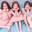 청춘샷
