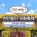 세븐일레븐 익산인화공단점 | [익산 국화축제] 익산 천만송이 국화축제 즐기기