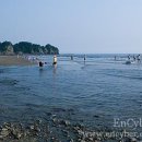 모텔쉬리 이미지