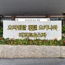 오키나와 숙소 추천 오리엔탈 호텔 오키나와 리조트&스파 숙박 후기 3탄 조식 콰치(크와치) QWACHI 뷔페