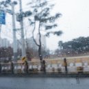 치킨마루(정자동신점) 이미지