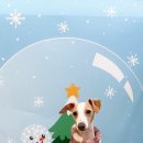 하울팟 위례점 이미지