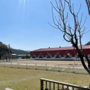 거창 오로라 승마장 이미지