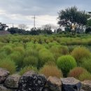 부동산뉴월드공인중개사사무소 이미지