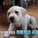 무리개농장 이미지