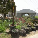 다육꽃세상 이미지