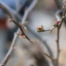 바른생활 이미지