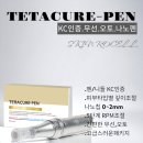 테라오토 이미지