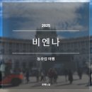 왕궁작은도서관 | 2025 동유럽 비엔나 시내 후기(슈테판 대성당, 앙커우어 인형 시계,호프부르크 왕궁, 비엔나 링 코스)