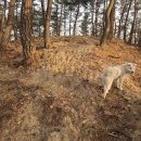 삼봉농원 이미지