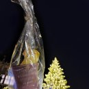 샴피뇽 | Frohe Weihnachten! 🎄🎄크리스마스 마켓 탐방기