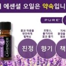 리뉴바디 이미지