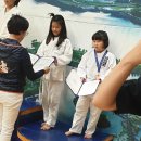 TH용인대유도체육관 이미지