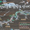 4월11일(토)지리산 마을 함양여행(선비문화탐방길,개평한옥마을,남계서원)/마감 이미지