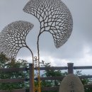 용문산첫번째식당 | 용문산 등산 후 즐기는 용문산 첫번째 식당 더덕제육쌈밥정식