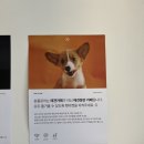 원플로어카페 이미지