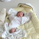 자연 애개 | 리코타입 스와들업 사용시기 6개월 후기