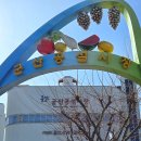 대지집 - 영도구 남항로31번길 45 | [군산 여행] 평화족발 I 쯔양도 다녀간 매운잡채 맛집, 솔직 후기