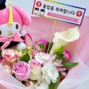 해드리주 이미지