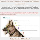 명품애견 이미지