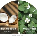 구뜨홈 이미지