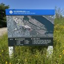 대산문화체육공원(주차장) 네이버블로그