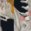 수지온한의원 이미지