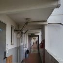 강동-천호-354 이미지