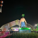 증평종합스포츠센터 | 증평 인삼골축제 후기